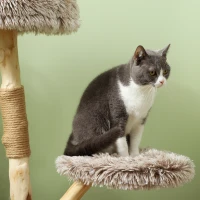 PawHut 35 Inch Modern Cat Tree for Indoor Adult Cats with Wooden Scratching Posts, Cat Bed & Rope Cat Toy, Brown(m-7)