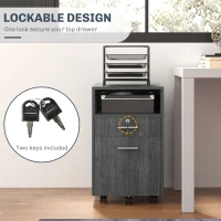 Vinsetto Small Filing Cabinet with 2 Drawers, Lockable Home Office Storage Cabinets on Wheels for A4, Letter Size, Grey(m-4)