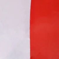 HOMCOM Large 10ft Christmas Inflatable Archway with Santa Claus and Penguin for Outdoor, Blow Up Decoration with LED Lights(m-9)