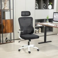 Vinsetto High Back Office Chair, Mesh Computer Desk Chair with Rotatable Headrest, Lumbar Back Support, Adjustable Height, Black(m-10)