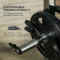 Soozier Power Cage Power Rack with 15-Level Squat Rack, Cable Pulley System, Pull up Stand and Push up Stand(m-6)