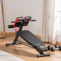 Soozier Adjustable Weight Bench Roman Chair Exercise Training Multi-Functional Hyper Extension Bench Dumbbell Bench Ab Sit up Decline Flat Black and Red(m-8)