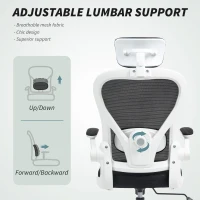HOMCOM Mesh Office Chair, Ergonomic Desk Chair with Flip-up Armrest, Rotatable Headrest, Adjustable Lumbar Support, Black(m-5)