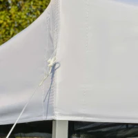 Outsunny 10' x 10' Pop-Up Canopy Tent Outdoor Party Tent, 3-Level Adjustable Height, Silver(m-10)
