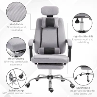 Vinsetto Ergonomic Executive High Back Office Chair with Footrest,Lumbar Support,Grey(m-10)