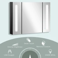 kleankin Medicine Cabinet with Mirror, Wall Mounted Bathroom Mirror Cabinet with Adjustable Shelf, USB Charge, High Gloss Black(m-5)