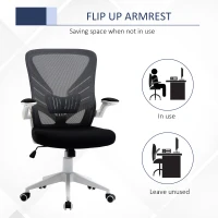 Vinsetto Mid-Back Mesh Home Office Chair Computer Task Ergonomic Desk Chair with Lumbar Back Support, Flip-Up Arm, and Adjustable Height, Grey(m-6)