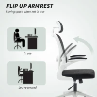 HOMCOM Mesh Office Chair, Ergonomic Desk Chair with Flip-up Armrest, Rotatable Headrest, Adjustable Lumbar Support, Black(m-7)