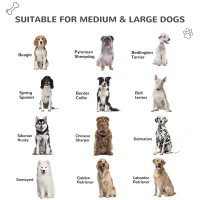 PawHut Plastic Dog House Puppy Kennel Pet Shelter with Raised Base Window Door for Large Medium Dogs Indoor & Outdoor 44"L x 33"W x 31.5"H Grey, White(m-3)