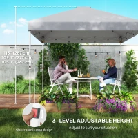 Outsunny 10' x 10' Pop Up Canopy Tent with Sidewall, Height Adjustable Instant Sun Shelter with Storage Pockets, Light Grey(m-6)