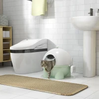 PawHut Hooded Cat Litter Box, Large Kitty Litter Pan with Lid, Scoop, Leaking Sand Pedal, Top Handle, Light Green(m-10)