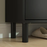 HOMCOM 2 Drawers Shoe Storage Cabinet with Adjustable Shelves for 16 Pairs of Shoes, Black(m-10)