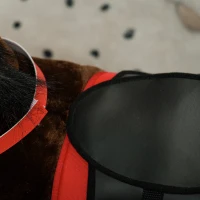 Qaba Kids Ride On Horse w/ Neighing Sound, Saddle, Stirrups, for 3-8 Years(m-10)