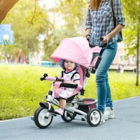 Qaba 6 in 1 Tricycle for Toddler 1-5 Years with Parent-Push Handle, Pink(m-1)