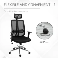 Vinsetto High Back Mesh Chair Office Task Chair with Adjustable Height, Headrest, Arm, Lumbar Back Support, Black(m-9)