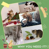 PawHut Cat Tree for Indoor Cats with Hammock, Cat Tower, Green(m-6)