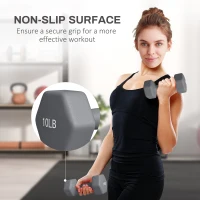 Soozier 2 x 10LBS Hexagonal Dumbbells, Set of 2 Weights with Non-Slip Grip for Home Gym Workout(m-6)