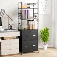 Vinsetto Mobile Filing Cabinet 2 Drawer File Cabinet with Key Adjustable Hanging Bar for Letter A4 and Legal Size Black(m-1)