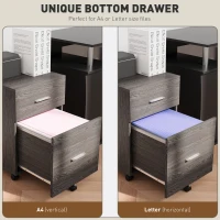Vinsetto Mobile Filing Cabinet, Vertical File Cabinet with 2 Drawers, Wheels, for Letter or A4 File, Grey(m-5)