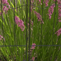 Outsunny 4 Pack Garden Fencing for Yard, Decorative Fence Panels as Animal Barrier and Flower Edging, Circle, Black, Wave(m-7)