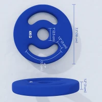 Soozier 2 x 8.8lbs Standard Weight Plates with Easy-Grip Handles, 1" Holes, for Home, Gym, Weight Lifting and Strength Training(m-3)