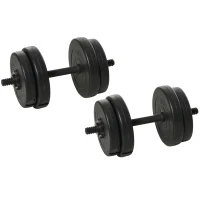 Soozier Adjustable 2 x 22lbs Weight Dumbbell Set for Weight Fitness Training Exercise Fitness Home Gym Equipment, Black (Pair)(m-11)