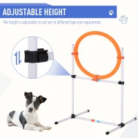 Pawhut 5 Piece Outdoor Game Dog Agility Training Equipment Set Agility Starter Kit Jumping Ring Hurdle Bar Tunnel(m-5)