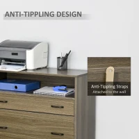 Vinsetto Lateral File Cabinet with Shelf, 2 Drawer Filing Cabinet for Letter Sized Papers, Print Stand, Charcoal Grey(m-6)