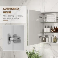 kleankin Bathroom Mirror Cabinet with Light, Bathroom Storage Cupboard with USB Charge, Adjustable Shelf, 31.5"W x 25.5"H, White(m-7)