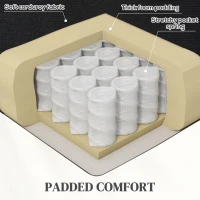 HOMCOM Lift Chair for Seniors, Microfibre Upholstered Power Recliner Chair with Remote, Quick Assembly, Black(m-6)