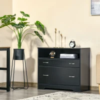 Vinsetto Lateral File Cabinet with 2 Drawers,  Filing Cabinet for Hanging Letter Sized Files, Office Printer Stand, Black(m-7)