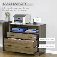 Vinsetto Lateral File Cabinet with Shelf, 2 Drawer Filing Cabinet for Letter Sized Papers, Print Stand, Charcoal Grey(m-4)