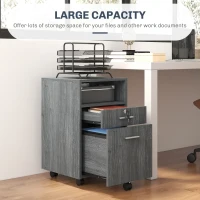 Vinsetto Small Filing Cabinet with 2 Drawers, Lockable Home Office Storage Cabinets on Wheels for A4, Letter Size, Grey(m-7)