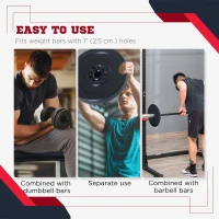 Soozier 4 Piece dumbbell Weight Plates Set 2 x 11lbs and 2 x 22lbs Black (Weights Only)(m-6)