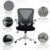 Vinsetto Mid-Back Mesh Home Office Chair Computer Task Ergonomic Desk Chair with Lumbar Back Support, Flip-Up Arm, and Adjustable Height, Grey(m-9)