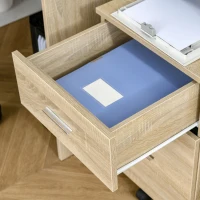 Vinsetto Mobile Filing Cabinet, Vertical File Cabinet with 2 Drawers, Wheels, for Letter or A4 File, Natural(m-10)