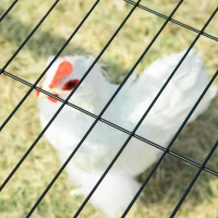 PawHut 79in Large Metal Chicken Coop, Outdoor Hen House Poultry Duck Goose Cage with Water-Resistant Canopy, Run, Nesting Box, Lockable Doors, Green(m-9)