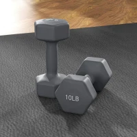 Soozier 2 x 10LBS Hexagonal Dumbbells, Set of 2 Weights with Non-Slip Grip for Home Gym Workout(m-9)