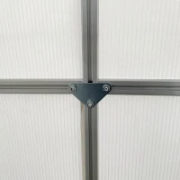 Outsunny 6' x 6' x 6.5' Polycarbonate Greenhouse with Aluminum Frame, Walk-in Heavy Duty Green House with Adjustable Roof Vent, Rain Gutter and Sliding Door for Winter, Silver(m-9)