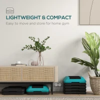 Soozier 5-Level Height Adjustable Stepper, Aerobic Exercise Step Platform, 4" 6" 8" 10" 12", Blue(m-6)