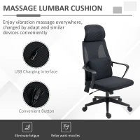 Vinsetto Office Chair High Back, Ergonomic Mesh Computer Chair Executive Task Chair with Massage Lumbar Support & Headrest Rocking(m-7)