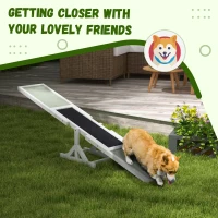 PawHut Wood Pet Seesaw, Dog Agility Training Equipment for Obedience Training, Weather Resistant, White(m-6)