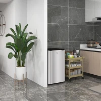 HOMCOM Compact Refrigerator, Mini Fridge with Freezer, Adjustable Shelf, Mechanical Thermostat and Reversible Door, Silver(m-1)