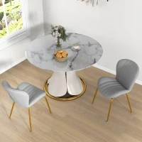 HOMCOM Dining Chairs Set of 2, Modern Accent Chair with Cushioned Backrest, Upholstery for Living Room, Grey(m-10)