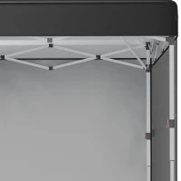 Outsunny 10' x 10' Pop Up Canopy Tent with 3 Sidewalls, Leg Weight Bags and Carry Bag, Height Adjustable, Instant Party Tent Event Shelter Gazebo for Garden, Patio, Black(m-9)
