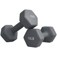 Soozier 2 x 10LBS Hexagonal Dumbbells, Set of 2 Weights with Non-Slip Grip for Home Gym Workout(m-2)