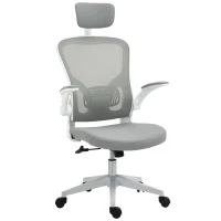 Vinsetto High Back Mesh Chair, Home Office Task Computer Chair with Adjustable Height, Lumbar Back Support, Headrest, and Arms, Gray(m-11)