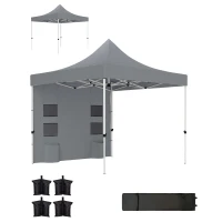 Outsunny 10' x 10' Heavy Duty Pop Up Canopy Tent with Sidewall, UPF50+ Instant Sun Shelter with Storage Pockets, Gray(m-1)