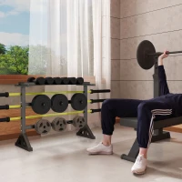 Soozier 1100LBS Capacity Weight Rack, Weight Plate Rack, and Dumbbell Rack for Home Gym Storage(m-1)