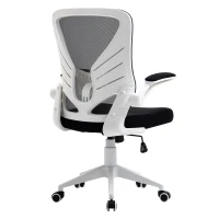 Vinsetto Mid-Back Mesh Home Office Chair Computer Task Ergonomic Desk Chair with Lumbar Back Support, Flip-Up Arm, and Adjustable Height, Grey(m-1)